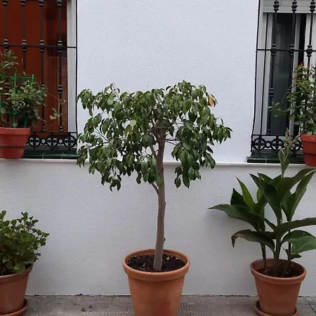 Carmona&house Daire *